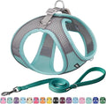 AIITLE Escape Proof Dog Harness