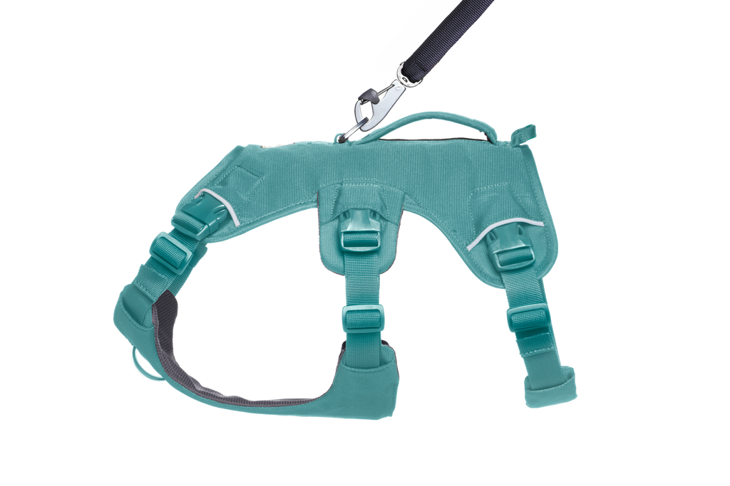 Web Master™ Dog Harness with Handle