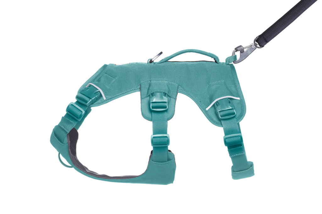 Web Master™ Dog Harness with Handle