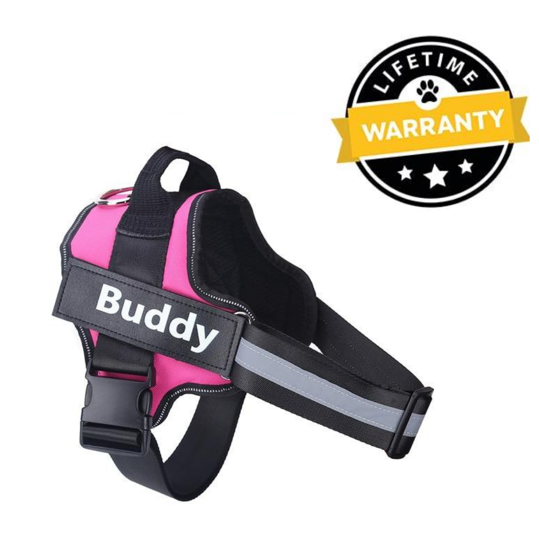 No Pull Dog Harness Australia | Easy On/Off in 2 Seconds