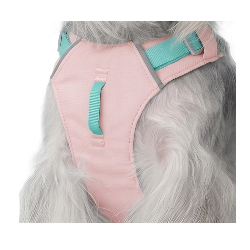 Cloud-Lite™ Dog Harness